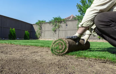 Landscaping 